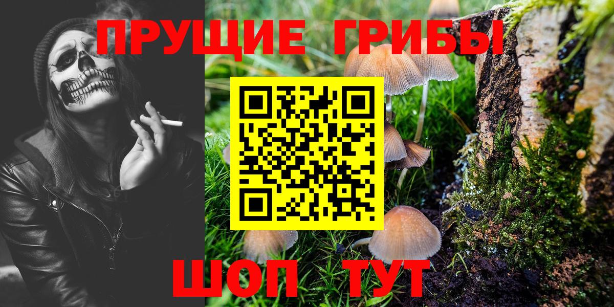 Коркино  Галлюциногенные грибы GOLDEN TEACHER  Вход с VPN 